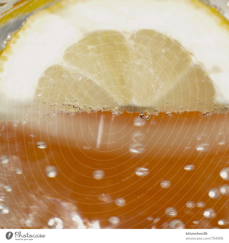 Wasser mit Geschmack Zitronenscheibe Getränk trinken Erfrischungsgetränk Trinkwasser Kohlensäure einfach Flüssigkeit Gesundheit kalt natürlich gelb