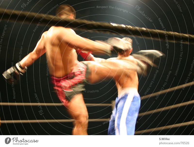 Kampf drei Kickboxen dunkel Bühnenbeleuchtung Mann seriös Geschwindigkeit stark kämpfen Lautsprecher Sport Bewegung boxring zwei männer Haut Muskulatur fight