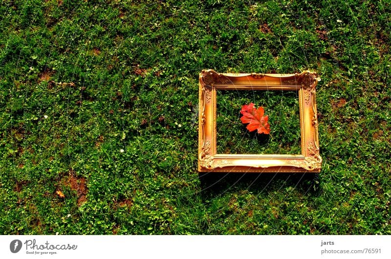 Herbstbild Blatt Wiese Gras Herbstlaub Bilderrahmen Kunst Rahmen eingerahmt jarts gold alt