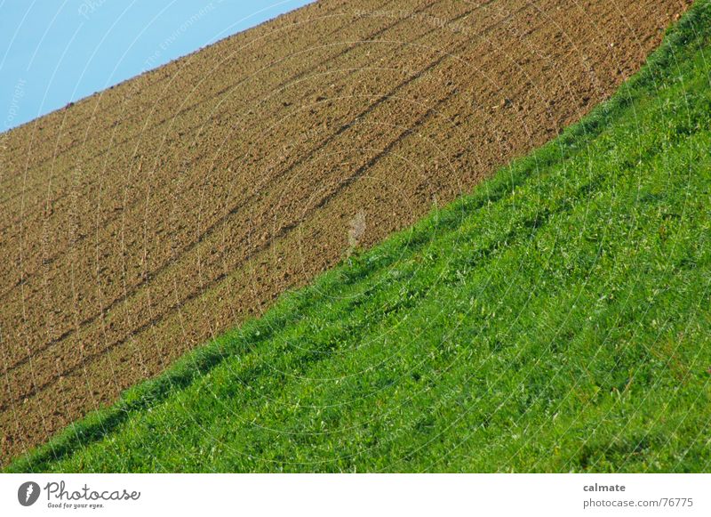 - agrarimpresionen I- Feld Wiese Farbenspiel kurz vorwärts Herbst grün braun Himmel dem blau Schönes Wetter