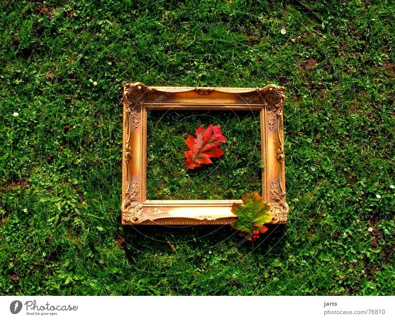 Herbstbild II Herbstlaub Blatt Bilderrahmen Wiese mehrfarbig Gras Rahmen gold jarts