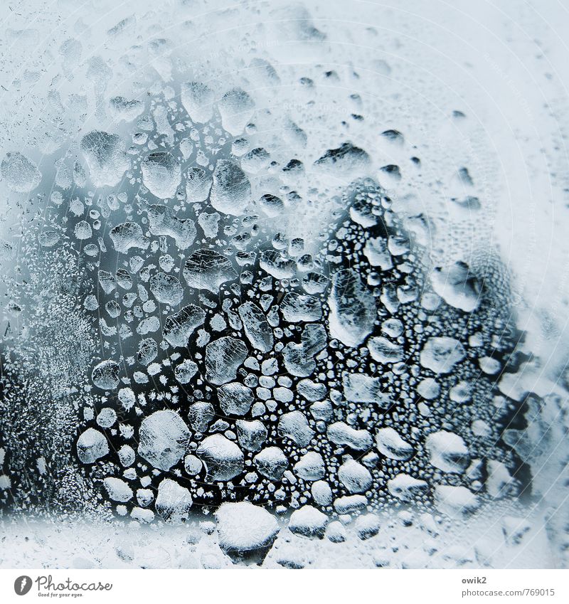 Arktische Gebilde Natur Landschaft Pflanze Wassertropfen Winter Eis Frost Eisblumen frieren kalt klein nah ruhig Idylle Klima Vergänglichkeit