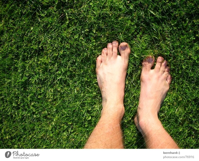 füße im grün Sommer Wiese Gras Zehen Halm Rasen Garten Natur Fuß foot Körperteile stehen garden natur pur rasenteppich Barfuß