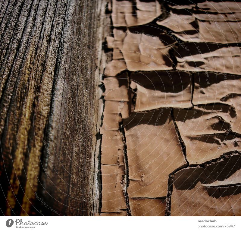 TOUCHIN THE 30TIES | struktur pattern muster grafik tile haut formell verringern Strukturen & Formen Muster Holz Hintergrundbild alt Material Konsistenz Region