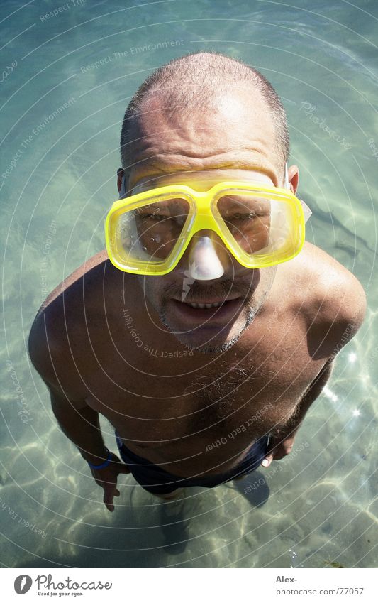 Gert der Meerjungmann tauchen Taucher tief See flach Ferien & Urlaub & Reisen Sommer Mann groß klein Schnorcheln Glatze Wasser sea Glas gert gerd alt bif