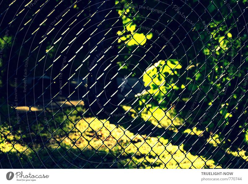 Sonnengeflecht: Ein Maschendrahtzaun mit Lichtreflexen vor einem Park in üppigem Grün mit leuchtenden und schattigen Stellen Freiheit Sommer Garten Umwelt Natur