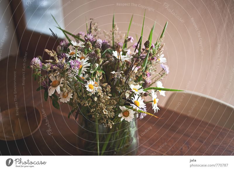 blumenstrauß Häusliches Leben Wohnung Innenarchitektur Dekoration & Verzierung Stuhl Tisch Küche Pflanze Blume Blüte Wildpflanze Blumenstrauß Vase ästhetisch