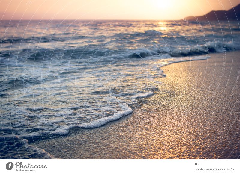 PLASTIC BEACH Umwelt Landschaft Sand Wasser Himmel Wolkenloser Himmel Horizont Sonnenaufgang Sonnenuntergang Sonnenlicht Sommer Schönes Wetter Wärme Wellen
