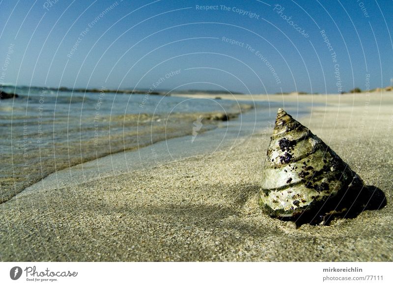 Paradies Muschel Strand Meer blau Physik heiß Ferien & Urlaub & Reisen schön Australien Perth Nationalpark Western Sand Himmel Wasser Wärme Freiheit kalbarri