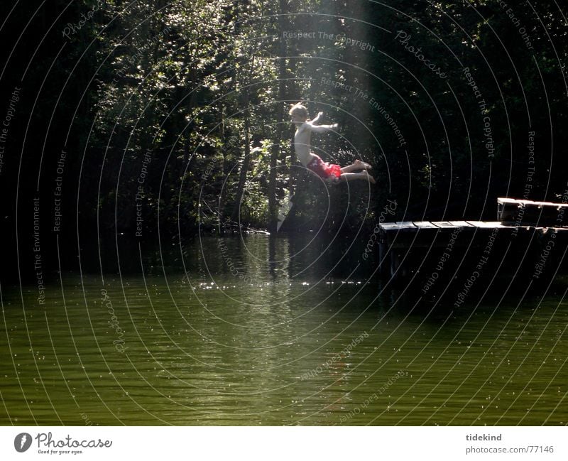 b-engel springen See Licht Sommer dunkel Steg Wasser fliegen Freude Schwimmen & Baden