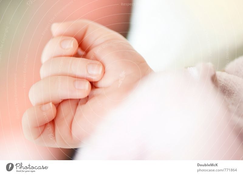 Maniküre? Nein! Baby Hand Finger 1 Mensch 0-12 Monate Erholung festhalten nah niedlich schön rosa Gelassenheit Kindheit ruhig Zufriedenheit Farbfoto