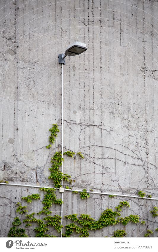 HH | +. Technik & Technologie Energiewirtschaft Erneuerbare Energie Pflanze Efeu Grünpflanze Stadt Fabrik Bunker Mauer Wand Fassade Lampe Beleuchtung Kabel