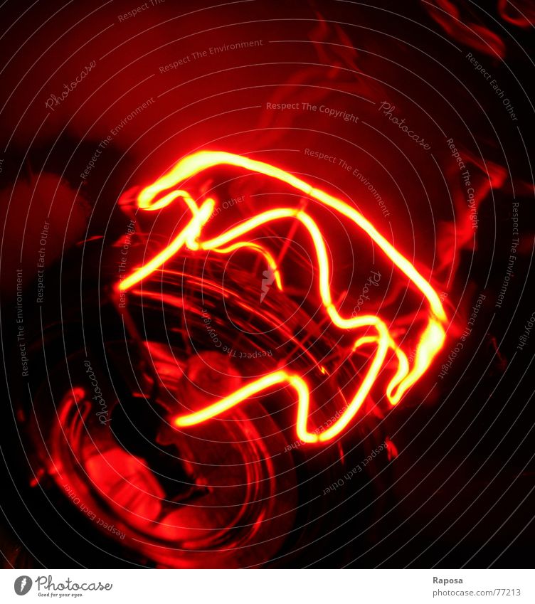 lightshow Lampe Rotlichtlampe rot Elektrisches Gerät elektrisch Glühbirne Elektrizität Draht Licht Kabel an aus Wärme führen