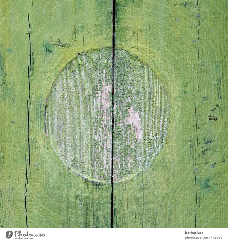 grüner Kreis im Quadrat Hütte Mauer Wand Tür Holz Zeichen Linie alt Schutz Farbe Hoffnung Symmetrie Zusammenhalt Farbfoto Außenaufnahme Detailaufnahme abstrakt