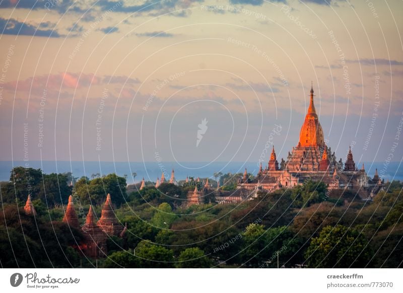 Stupa Ferien & Urlaub & Reisen Tourismus Abenteuer Ferne Sightseeing Kultur Wolken Schönes Wetter Wald Bagan Myanmar Menschenleer ästhetisch authentisch