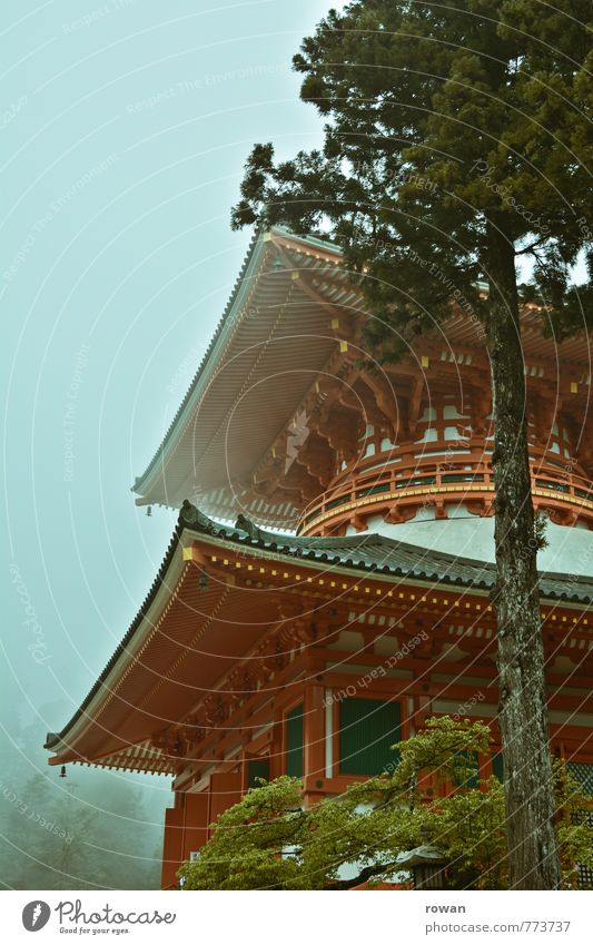 tempel Ferien & Urlaub & Reisen Tourismus Ausflug Architektur Kirche Bauwerk Gebäude Sehenswürdigkeit Denkmal alt Asien Japan Tempel Tempelturm Pagode