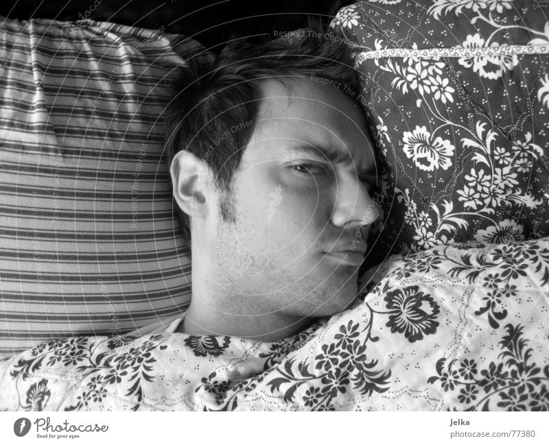 penner Haare & Frisuren Gesicht Bett Mensch Mann Erwachsene Auge Nase Mund Blume Streifen Müdigkeit aufstehen aufwachen Bettwäsche Kissen Bettdecke Wange