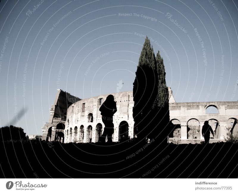 Colosseum Kolosseum Rom Italien Roman Mensch tree shadows building historical ancient walking