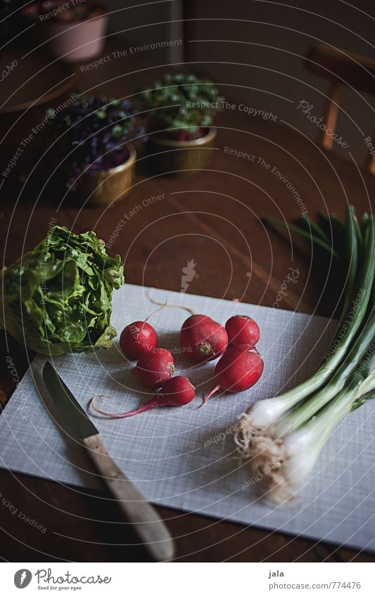 salatzutat Lebensmittel Gemüse Salat Salatbeilage Ernährung Mittagessen Abendessen Bioprodukte Vegetarische Ernährung Slowfood Messer Schneidebrett