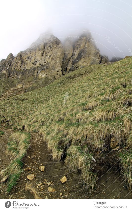 Gipfeltreffen Abenteuer Ferne Freiheit Berge u. Gebirge wandern Umwelt Natur Landschaft Pflanze Erde Wolken Nebel Wiese Hügel Felsen Alpen Wege & Pfade