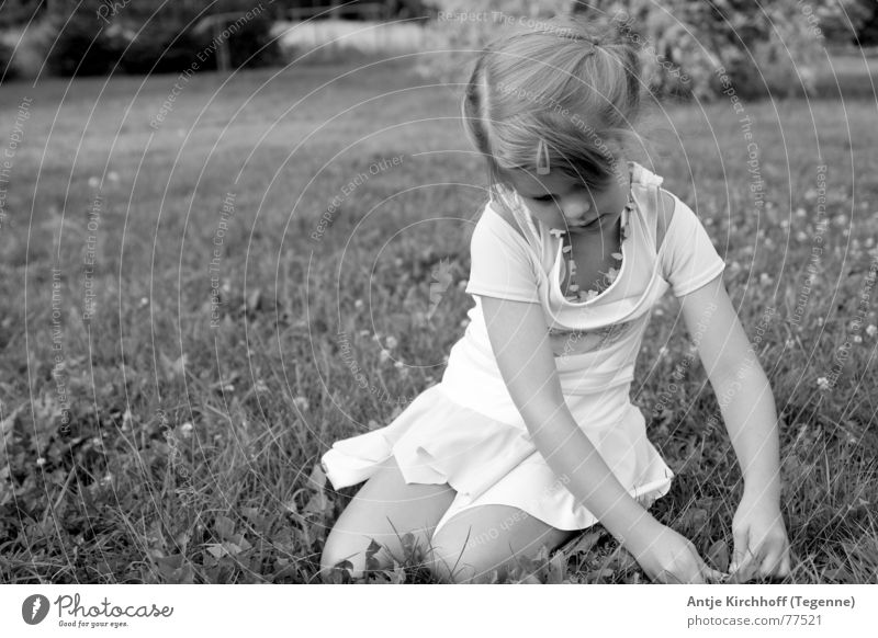 Little Fairy Mädchen Freundlichkeit süß zierlich Kindergarten verträumt Spielen offen Porträt Wiese Außenaufnahme Zopf Kleid Sommer Frühling süsse maus