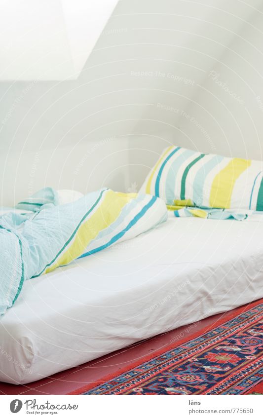Schlafplatz Erholung Häusliches Leben Wohnung Raum Schlafzimmer liegen hell einzigartig bescheiden Schlafmatratze Wand Neigung Teppich Bettwäsche einfach