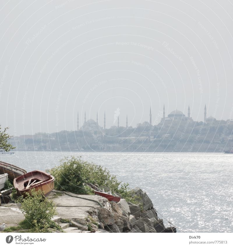 Asiatische Perspektive II Ferien & Urlaub & Reisen Tourismus Ferne Städtereise Sonnenlicht Schönes Wetter Sträucher Grünpflanze Küste Meer Bosporus Marmarameer