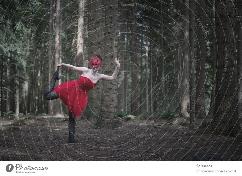 let´s dance Mensch feminin Frau Erwachsene 1 Tanzen Tänzer Subkultur Rockabilly Natur Wald Kleid Maske rot Farbfoto Außenaufnahme Textfreiraum rechts