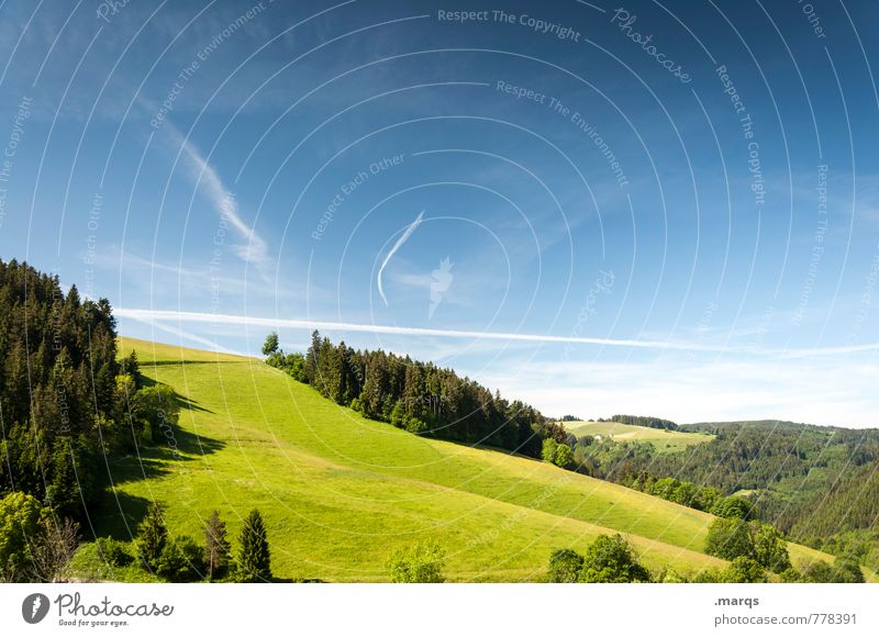 Waldstück Tourismus Ausflug Sommer wandern Umwelt Natur Himmel Wolkenloser Himmel Horizont Schönes Wetter Wiese Hügel Erholung Idylle Schwarzwald
