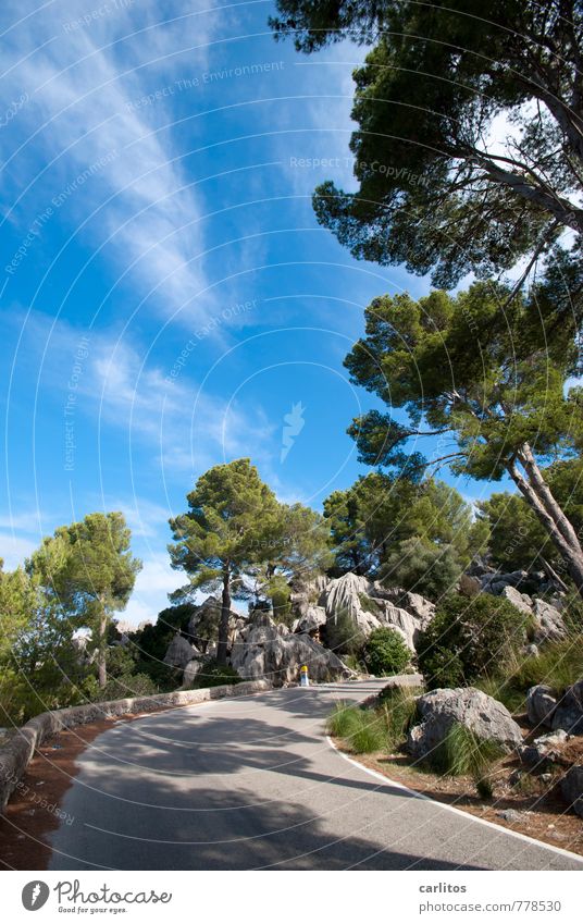 es geht aufwärts Umwelt Natur Landschaft Pflanze Urelemente Himmel Wolken Sommer Schönes Wetter Wärme Baum Felsen Berge u. Gebirge wandern Serra de Tramuntana