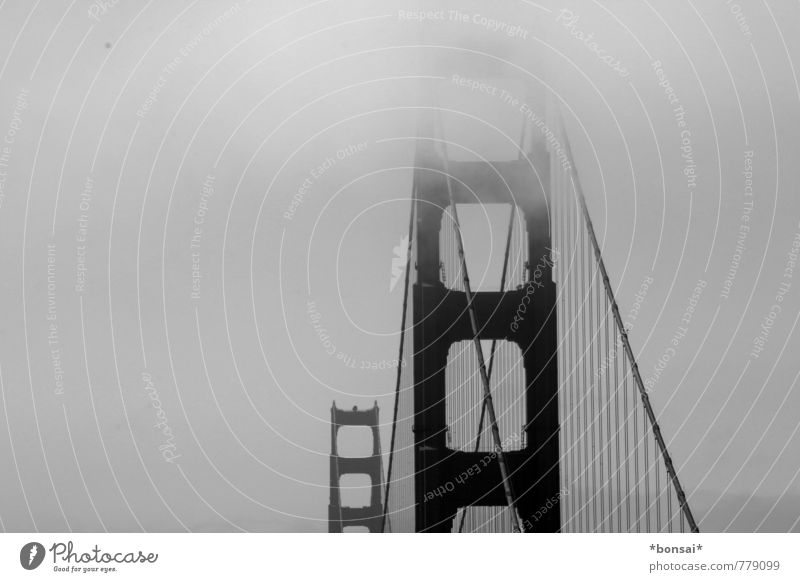 golden gate Ferien & Urlaub & Reisen Sightseeing Städtereise Nebel San Francisco Hafenstadt Stadtzentrum Brücke Bauwerk Golden Gate Bridge Bootsfahrt hängen