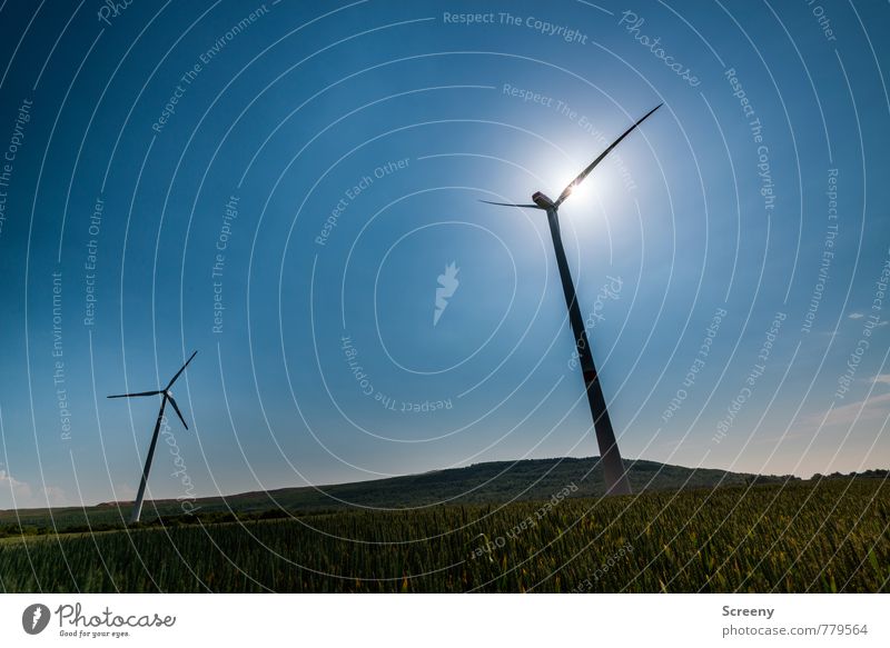 Windkraftsammler #4 Technik & Technologie Energiewirtschaft Erneuerbare Energie Windkraftanlage Umwelt Natur Himmel Wolkenloser Himmel Sonne Sonnenlicht