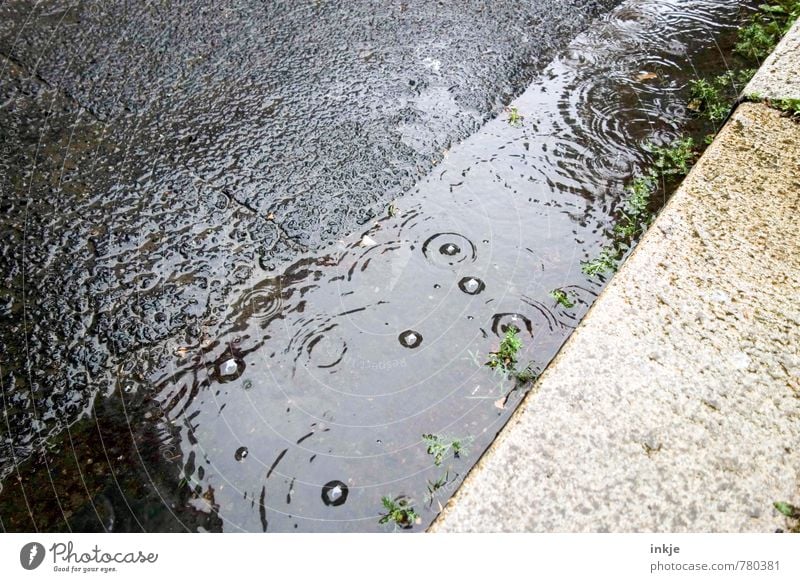 Sommerregen Umwelt Wasser Frühling Klima Wetter schlechtes Wetter Regen Pfütze Menschenleer Straße Rinnstein Straßenrand Asphalt Bordsteinkante Kreis tropfend