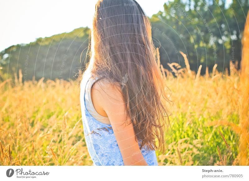 Sommer feminin Junge Frau Jugendliche Erwachsene Haare & Frisuren 1 Mensch Schönes Wetter Baum Gras Grünpflanze Wiese Feld brünett langhaarig Erholung genießen
