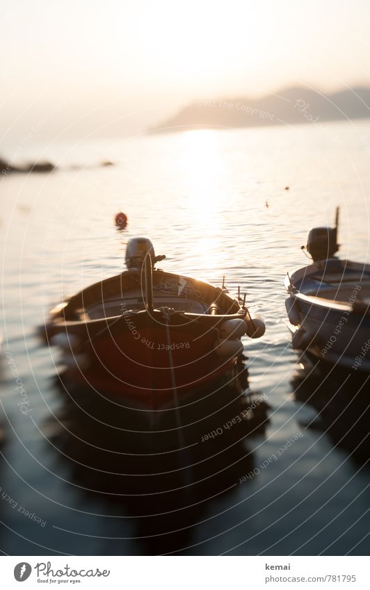 Nussschalen im Licht Freizeit & Hobby Ferien & Urlaub & Reisen Tourismus Ausflug Abenteuer Sommerurlaub Sonnenbad Meer Italien Wasser Sonnenaufgang