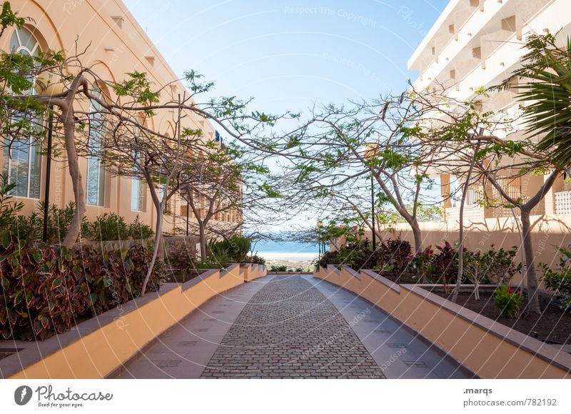 Der Weg nach unten Wege & Pfade Symmetrie Sommer Ferien & Urlaub & Reisen Wolkenloser Himmel mediterran Pflastersteine Strand Schönes Wetter Spanien Baum