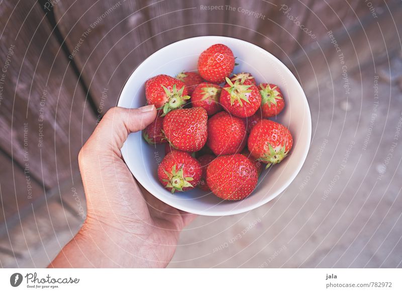 erdbeeren Lebensmittel Frucht Erdbeeren Ernährung Bioprodukte Vegetarische Ernährung Schalen & Schüsseln Gesunde Ernährung feminin Hand Finger 30-45 Jahre