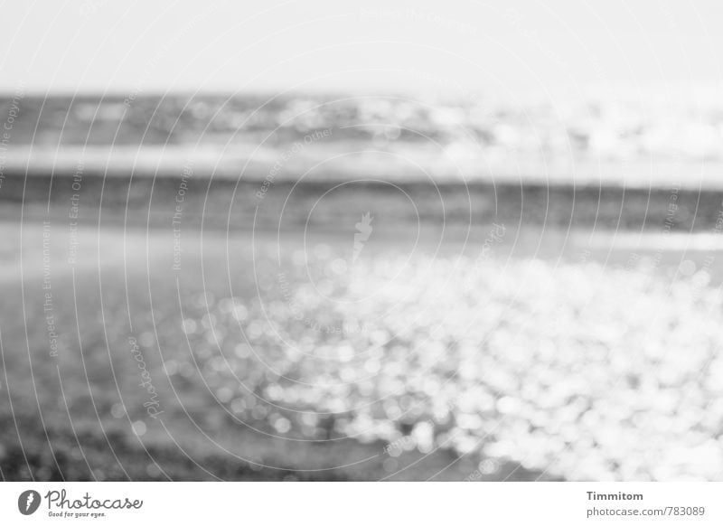 ...Wasser! ...Wasser! Ferien & Urlaub & Reisen Dänemark beobachten ästhetisch einfach grau Gefühle Nordsee Strand Wellen Schwarzweißfoto Menschenleer Tag