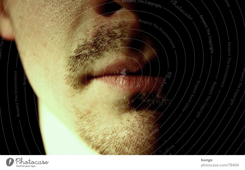 Bartstudie, die dritte Kinnbart Oberlippenbart unhygienisch Lippen unrasiert Ekel altmodisch veraltet maskulin Mann Pubertät Selbstportrait schön Dreitagebart