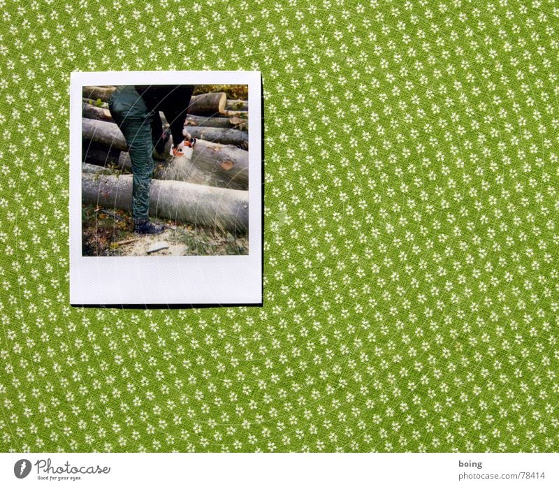 Das Holz eines Baums ist für Leute gut Säge Schnittschutzhose Kettensäge Blume Polaroid Brennholz Waldarbeiter Arbeit & Erwerbstätigkeit Fotografie Tisch