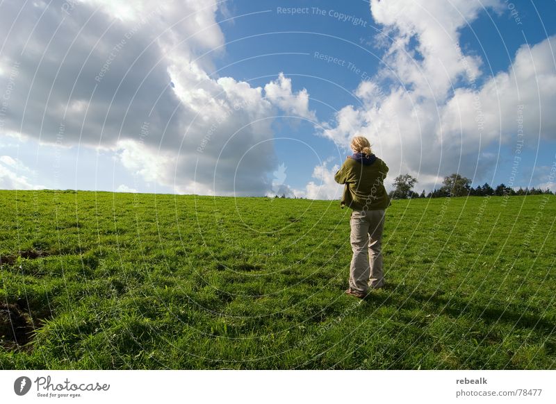 Fotospaß 3 Außenaufnahme Licht Weitwinkel Freizeit & Hobby Freiheit Sommer Mensch Mann Erwachsene Umwelt Natur Landschaft Pflanze Himmel Wolken Baum Gras Wiese