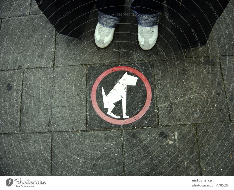 Armer Hund! Bürgersteig Verbote Vorschrift Belgien interessant Verständnis Modern Art regulär Hinweisschild Niederlande Stadt unterwegs Mitte Freizeit & Hobby