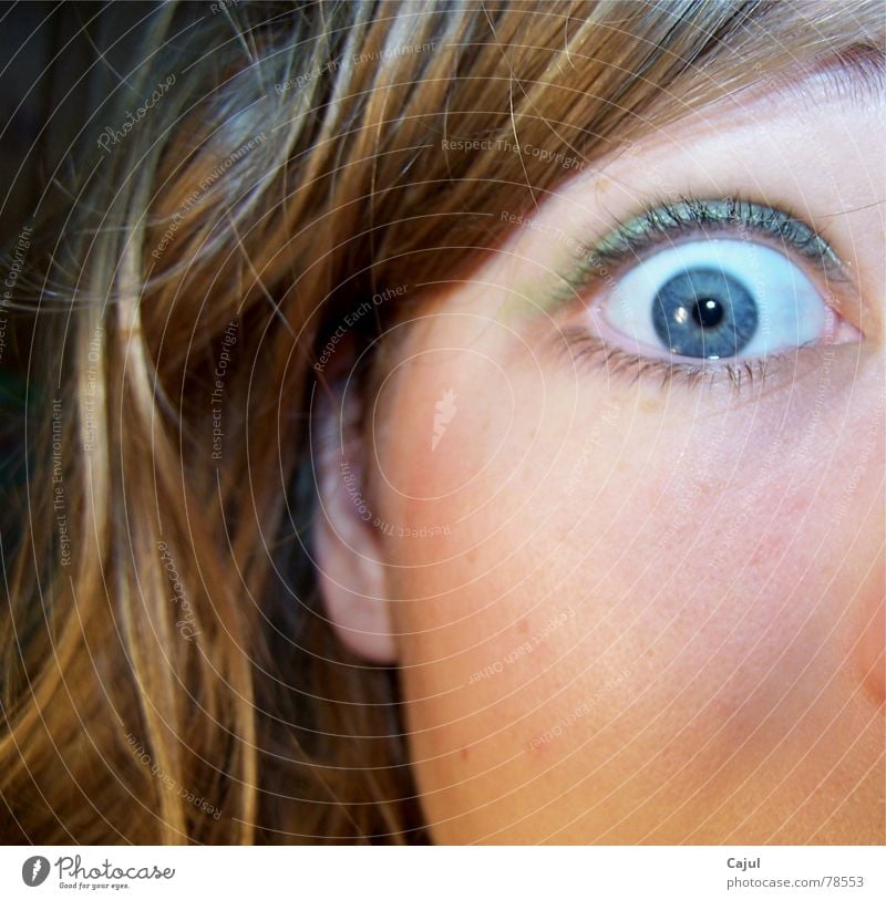 Ach du Schreck Pupille Wimpern Augenbraue erschrecken Schrecken Sinnesorgane Nervosität Angst erstaunt Überraschung Lidschatten Ohrläppchen Publikum Mittelohr