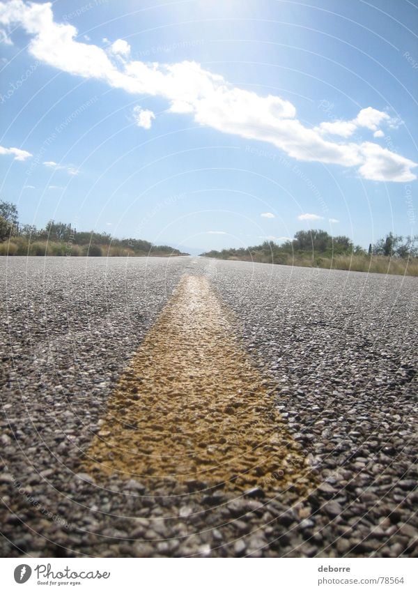 Fahrbahnmarkierungen eines amerikanischen Highways aus nächster Nähe an einem sonnigen Tag mit blauem Himmel. Sträucher Borte Ferne Fernstraße Streifen Asphalt