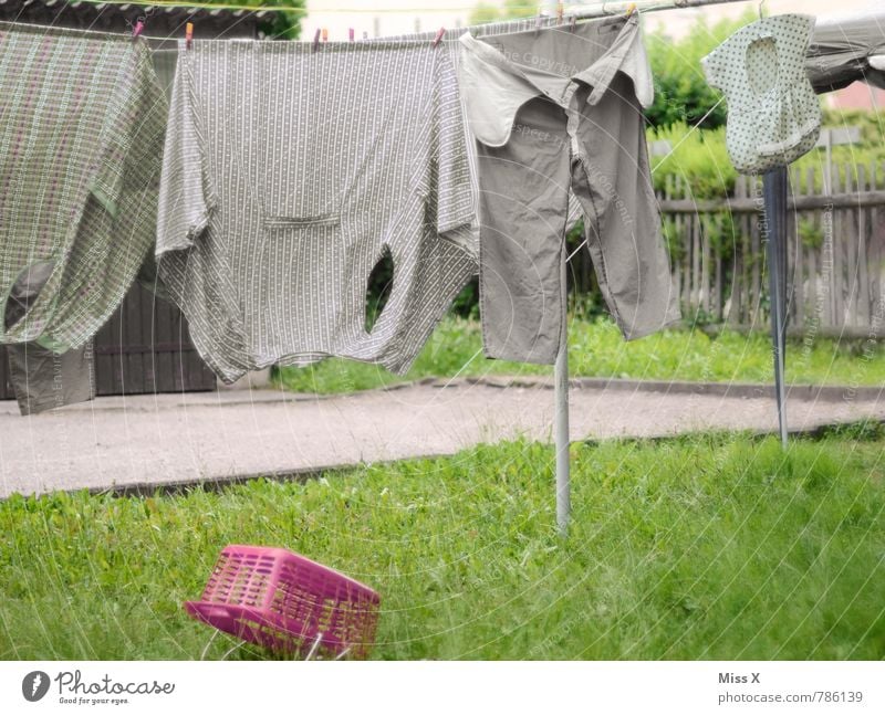 olle Wäsche Häusliches Leben Garten Bekleidung Arbeitsbekleidung Hemd Hose Stoff Wachstum alt dreckig nass Sauberkeit trocken grau Reinlichkeit sparsam
