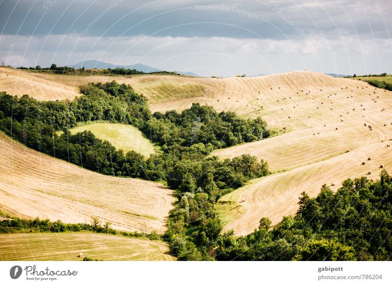 Wald- und Wiesenidylle Ferien & Urlaub & Reisen Ausflug Ferne Sommerurlaub Berge u. Gebirge wandern Landschaft Erde Himmel Wetter Feld Hügel Toskana Erholung