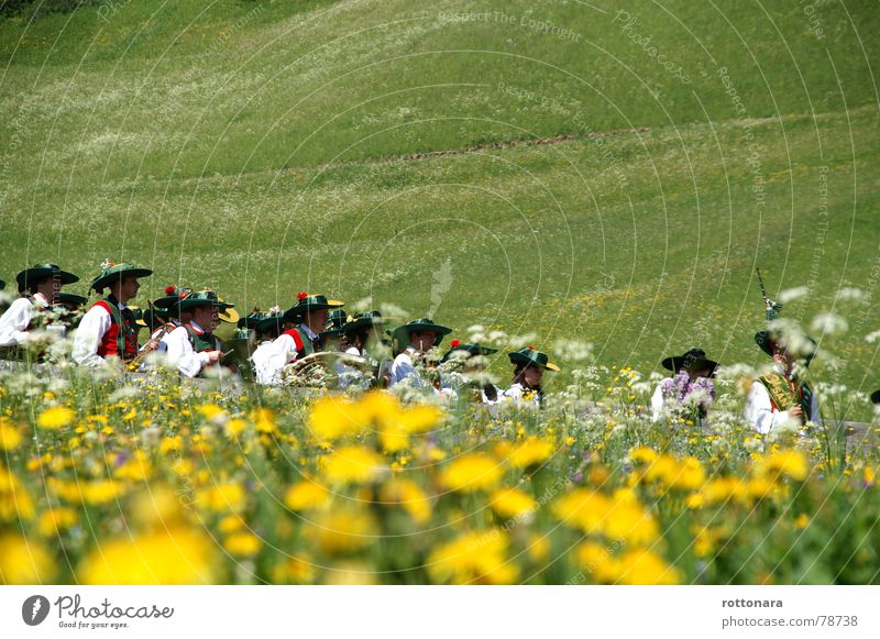 durch die wiese Dolomiten Südtirol Prozession Umzug (Wohnungswechsel) grün gelb Sommer Löwenzahn Musikinstrument Grünfläche Pflanze Mensch Gras Wiese Völker