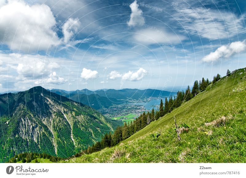 Tegernsee Tourismus Ausflug wandern Umwelt Natur Landschaft Himmel Wolken Sommer Schönes Wetter Baum Alpen Berge u. Gebirge See hoch blau grün Gelassenheit