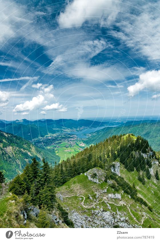 Blick zum Tegernsee Ferien & Urlaub & Reisen Ausflug wandern Klettern Bergsteigen Umwelt Natur Landschaft Himmel Wolken Sommer Schönes Wetter Baum Wald Alpen