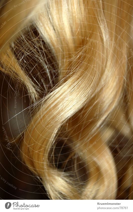 Engelslocken Locken blond Farbe Frau Haare & Frisuren hair blonde locken curls
